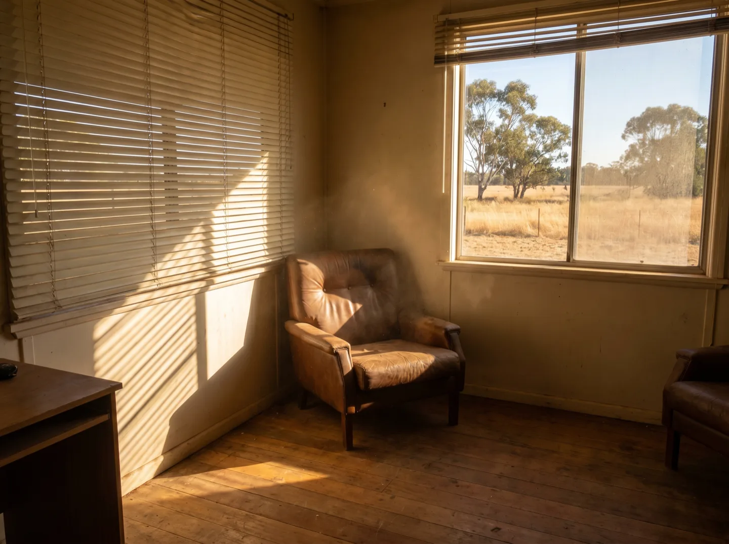Aluminium venetian blinds tilted to cut hard afternoon sun into bands of light